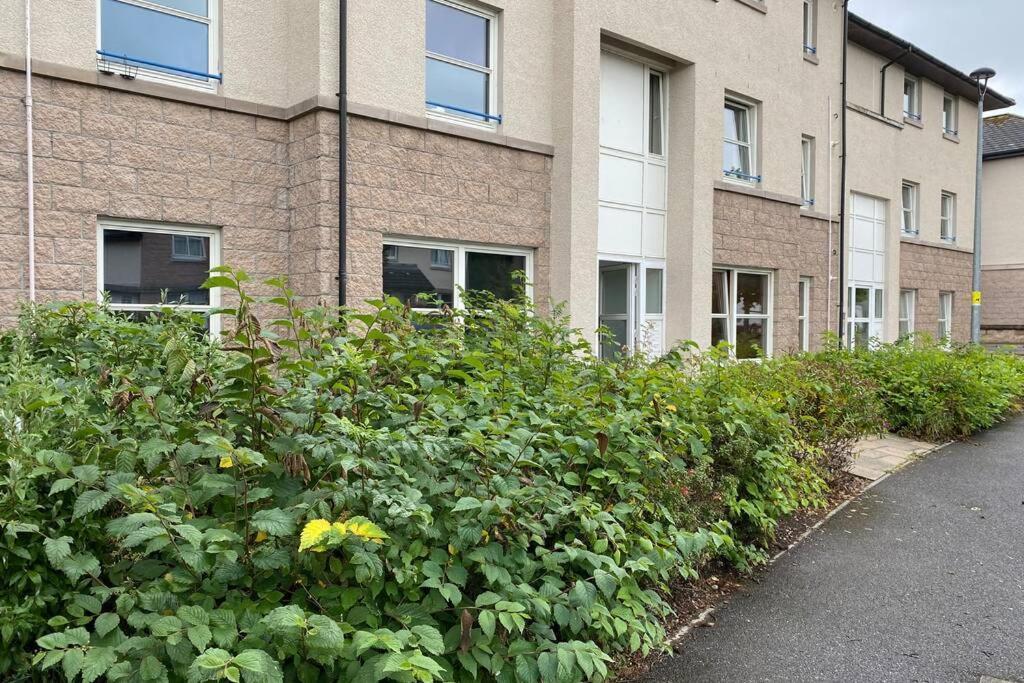 Peter Pan Apartment In The Heart Of Inverness Dalneigh 外观 照片